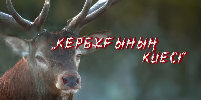 Кербұғының киесі